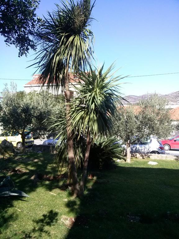 Private Accommodation Carevic Dubrovnik Exterior photo